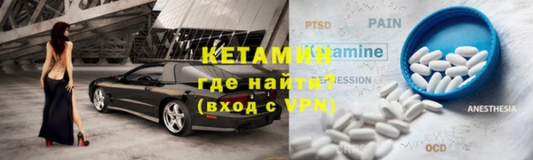 стаф Горняк
