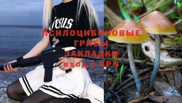 мдпв Бикин