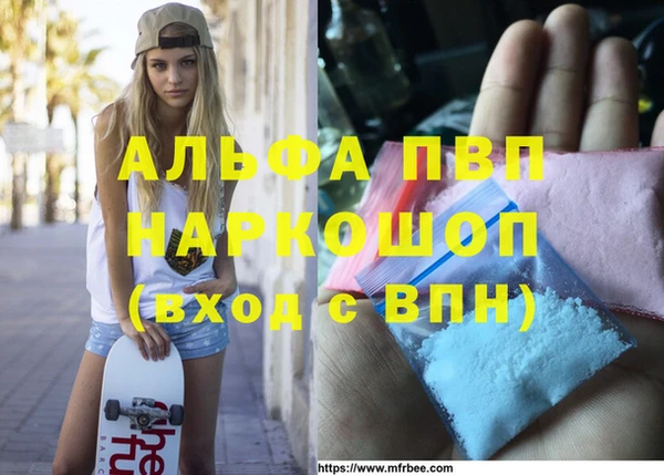 стаф Горняк