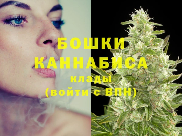 стаф Горняк