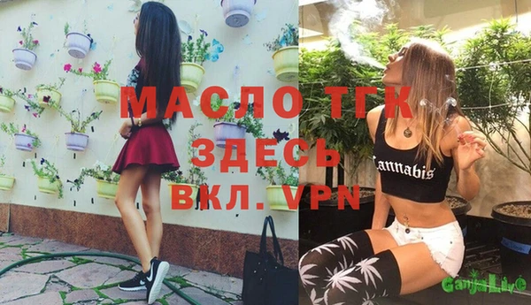 стаф Горняк